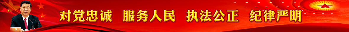 对党忠诚服务人民执法公正纪律严明